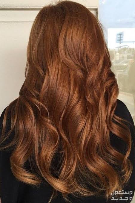 صبغة لون واحد